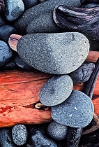 Rounded Rocks & Driftwood